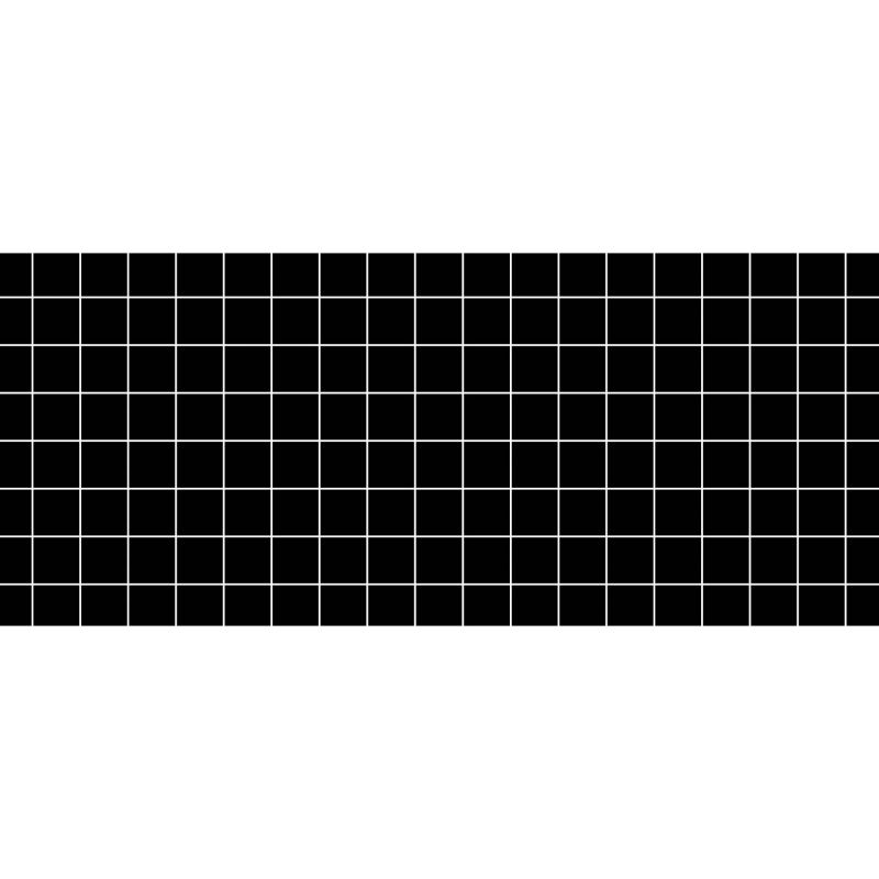 Plaques de glu Carton Noir quadrillée - 2 Faces - Lot de 6 19,5 x 46 cm