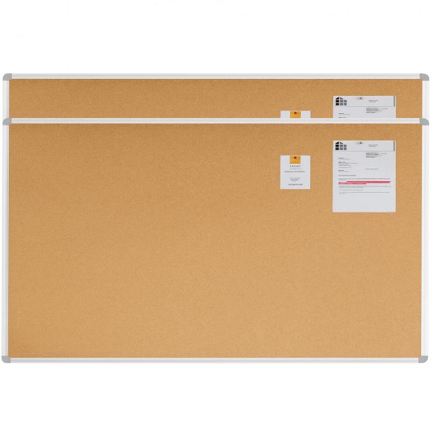 Lot de 2 tableaux simples surface liège