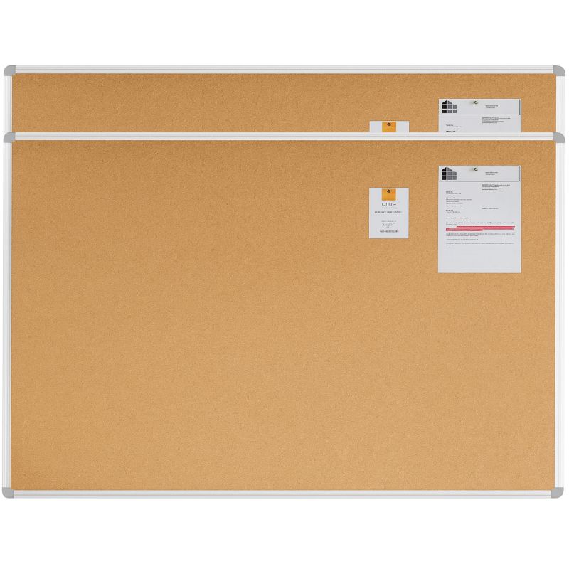 Lot de 2 tableaux simples surface liège