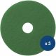 Disque vert autolaveuse Numatic - lot de 5
