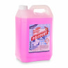 Nettoyant liquide sanitaire 4en1 DELCOURT