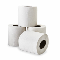 Papier toilette rouleaux blancs DELCOURT 2plis