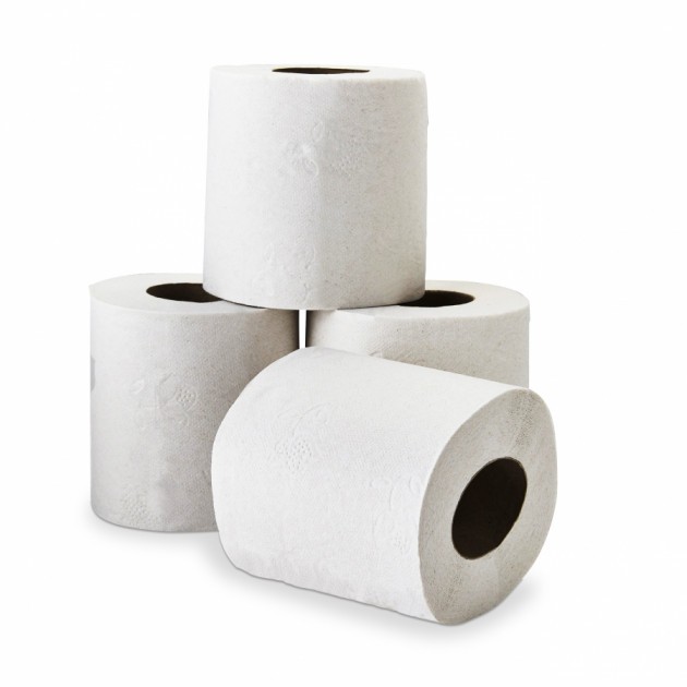 Papier toilette blancs DELCOURT 2 plis