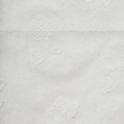 Papier toilette recyclé 2 plis blanc 96 rouleaux Ecolabel