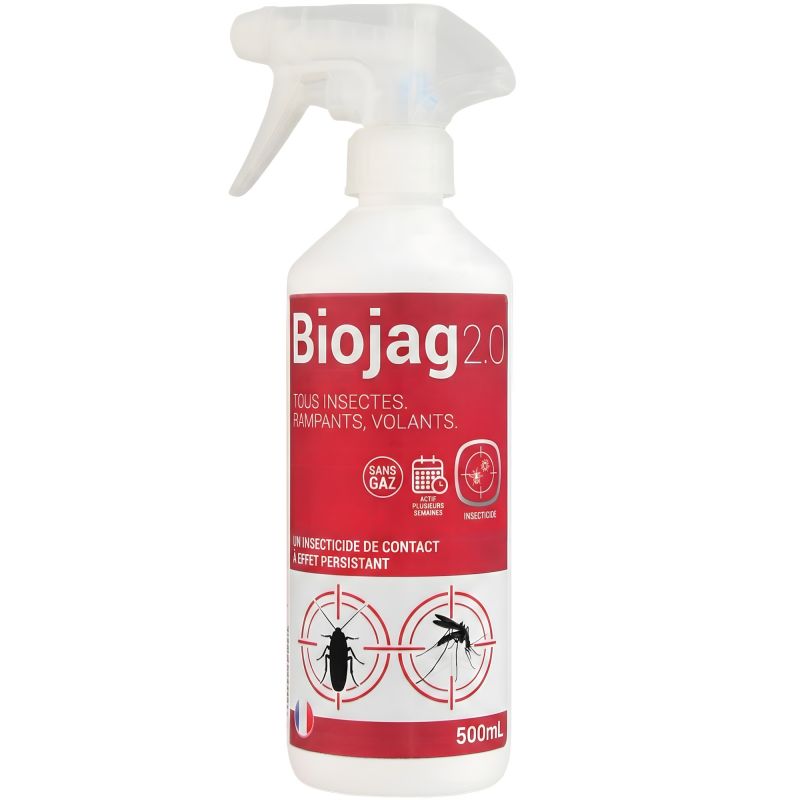 Attractant insectes volants et rampants