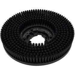 Brosse dure pour monobrosse DS 43 et LS 43