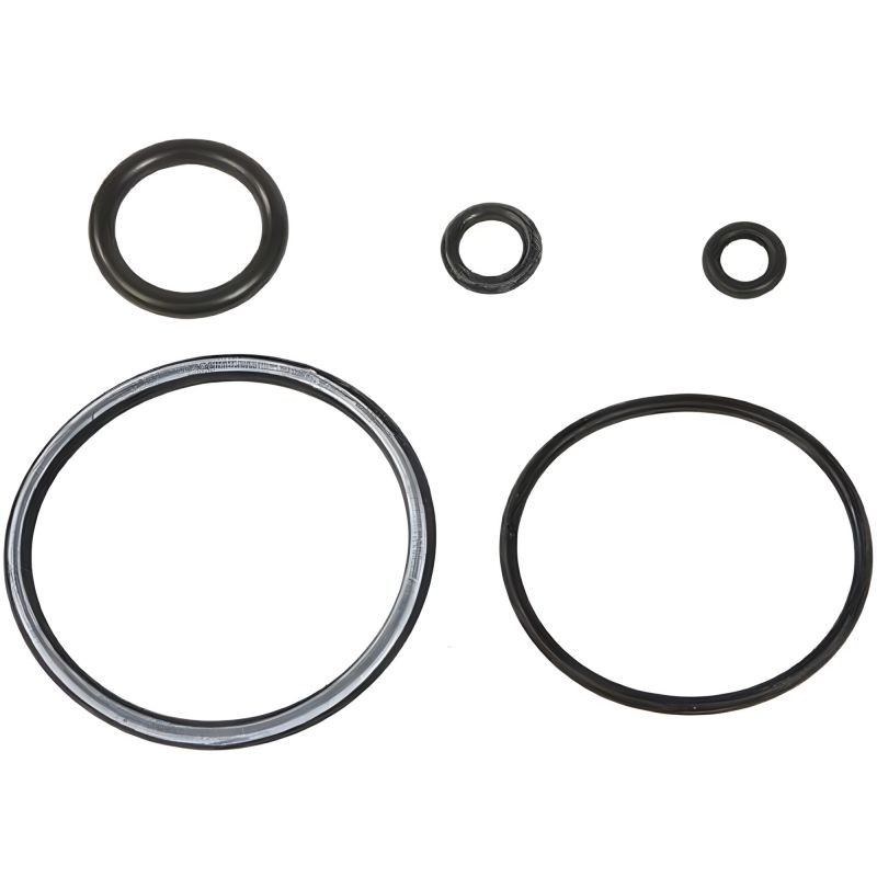 Kit joints nettoyeur vapeur pour tube à rallonge