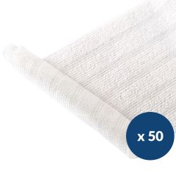 Franges microfibres lavage à plat 42x14 cm - Carton de 50