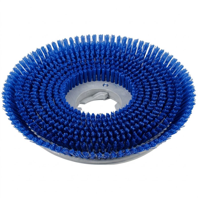 Brosse de récurage pour monobrosse ICA