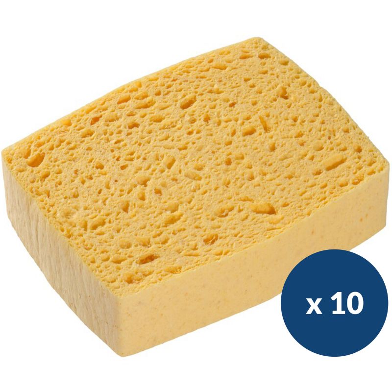 Éponges végétales Spontex - lot de 10