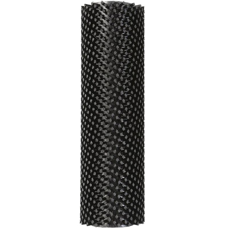 Brosse autolaveuse Duplex poils durs noir x2
