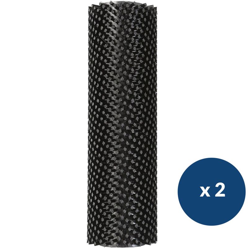 Brosse autolaveuse Duplex poils durs noir x2
