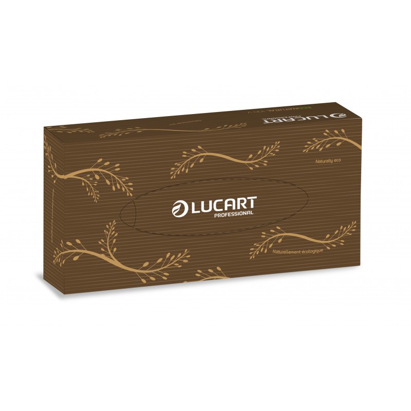 Boîte mouchoirs papier 100 feuilles Ecolabel Econatural 100 V Lucart - Zoom Boîte mouchoirs papier 100 feuilles Ecolabel Econatural 100 V Lucart - Zoom