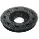 Brosse tynex pour autolaveuse CT55