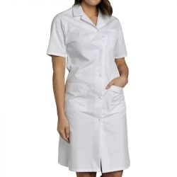 Blouses femmes coton manches courtes blanc SNV Madona MC