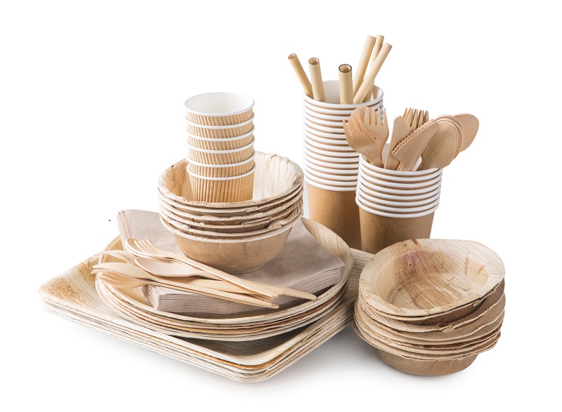 100 Assiettes Jetables Biodégradables 15,5 Cm – Canne à Sucre Écologique – Robuste Pour Fêtes, Pique-Nique, BBQ