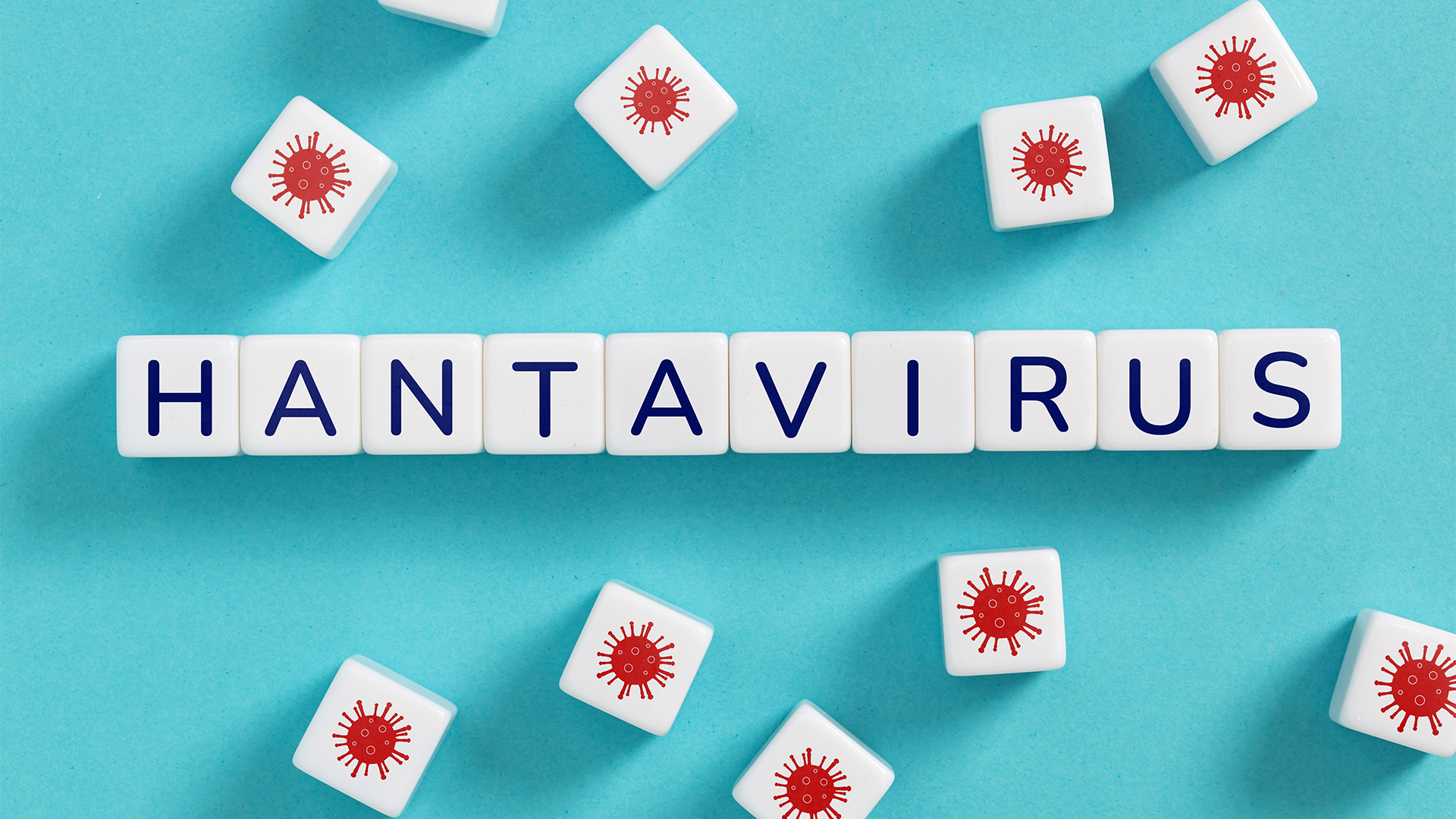 les reflexes a adopter pour se premunir du hantavirus