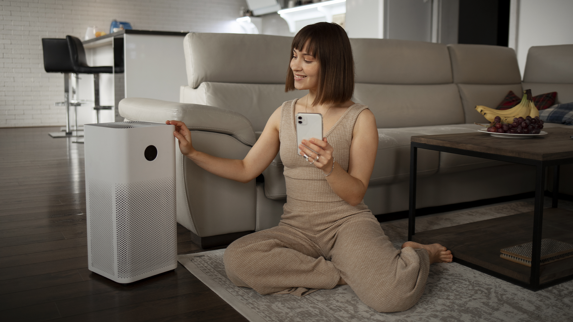 purificateur d'air professionnel