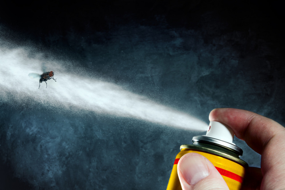 Comment lutter contre les nuisibles en entreprise ?