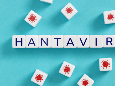 Prévention hantavirus : guide complet pour les professionnels exposés